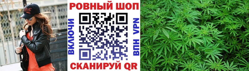 ГАШИШ Боровичи
