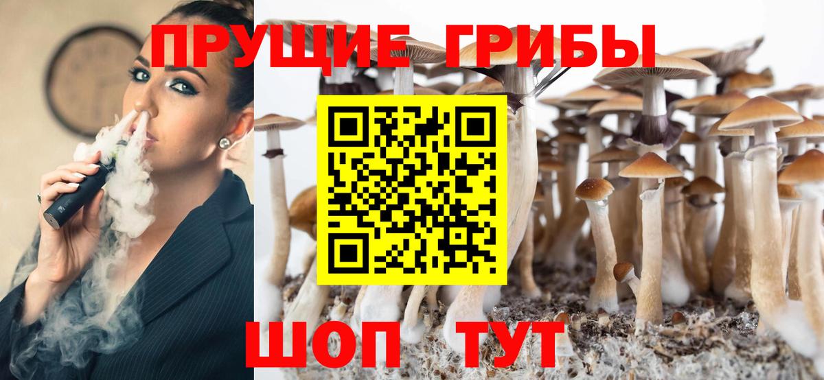 купить закладку  Псилоцибиновые грибы GOLDEN TEACHER  Вход с VPN  Боровичи 