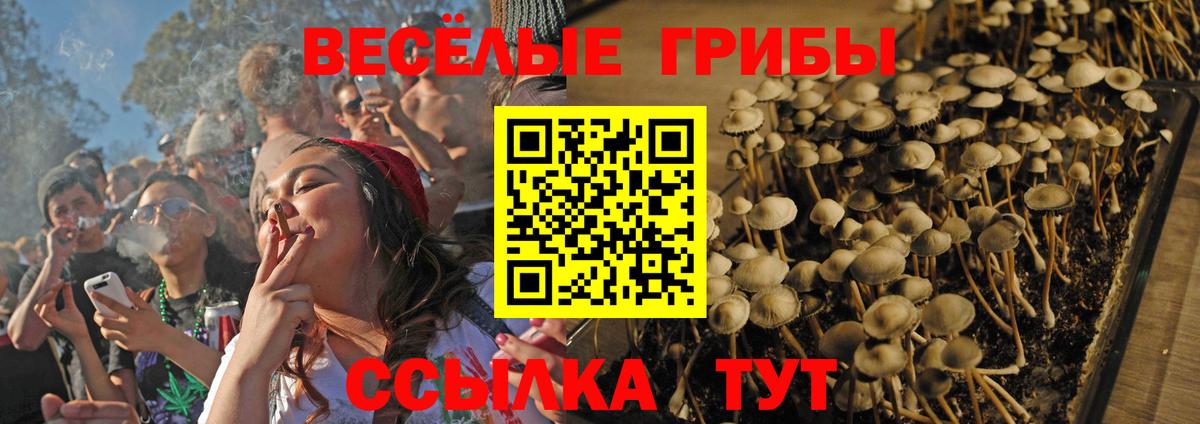 Галлюциногенные грибы Magic Shrooms Боровичи
